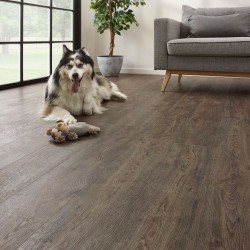 COREtec Jasper oak 01